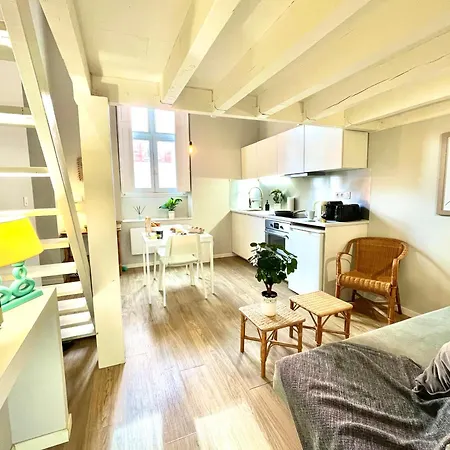 Loft Languedoc  Mezzanine - Carmes - Wi-fi Appartamento