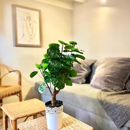 Loft Languedoc  Mezzanine - Carmes - Wi-fi