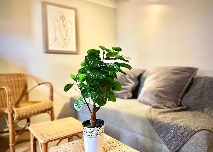 Loft Languedoc  Mezzanine - Carmes - Wi-fi