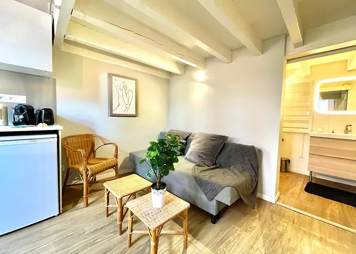 Loft Languedoc  Mezzanine - Carmes - Wi-fi Appartamento